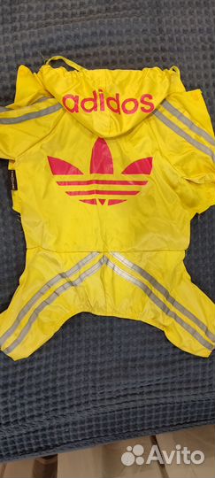 Одежда для собак