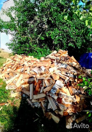 Дрова Береза