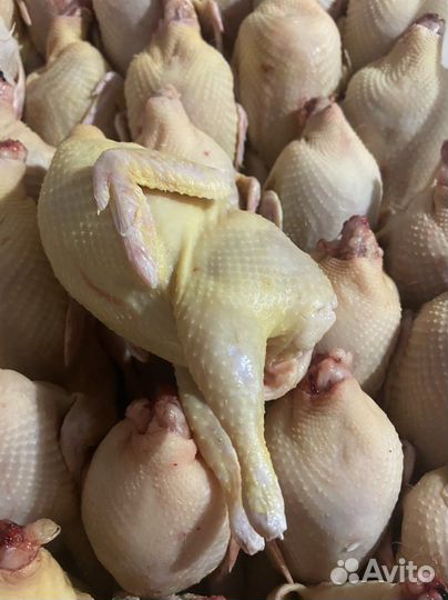 Тушки перепела