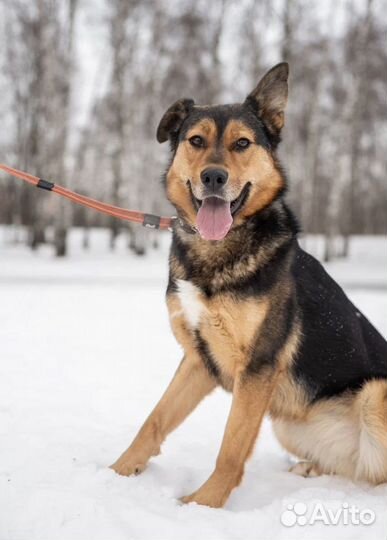 Лия хочет быть любимой