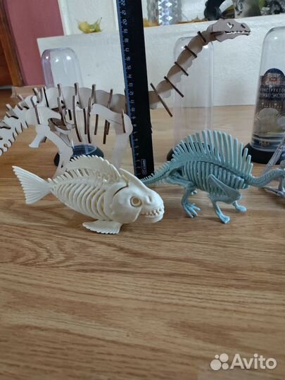 Скелет животного