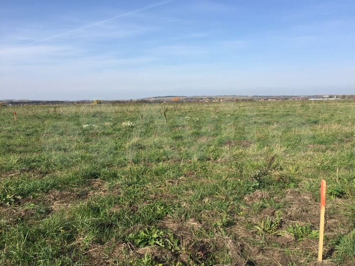 Участок 10 сот. (СНТ, ДНП)