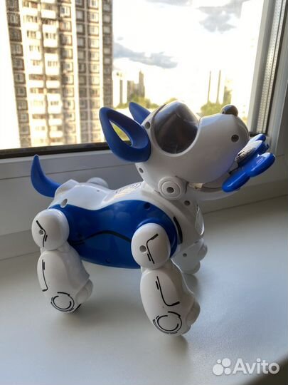 Робот собака pupbo