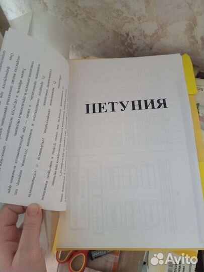 Ежедневник всё о петунии собрание