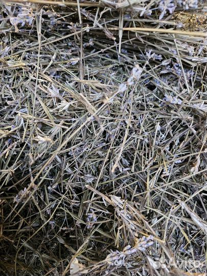 Лаванда стебли