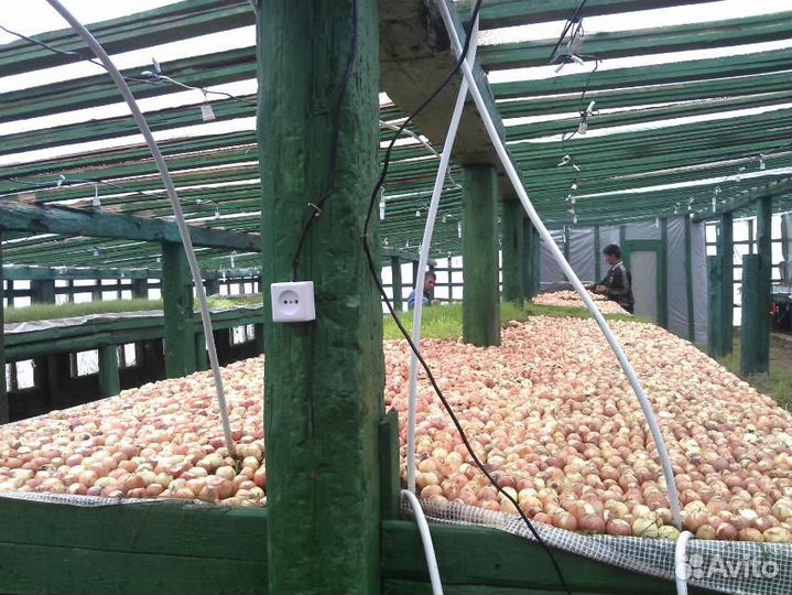 Инвестор или Компаньон