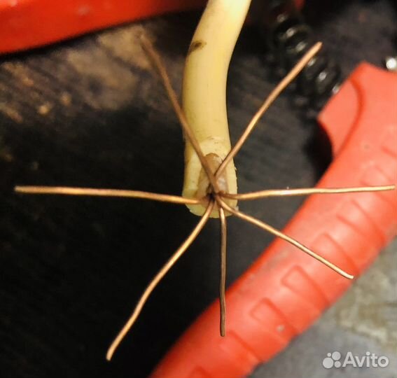 Провод медный 7жильный СССР