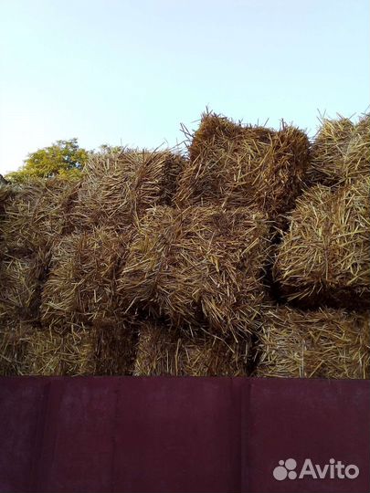 Солома в тюках