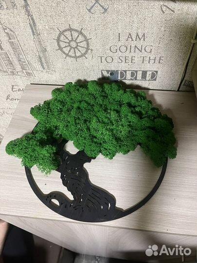 Декор из стабилизированного мха