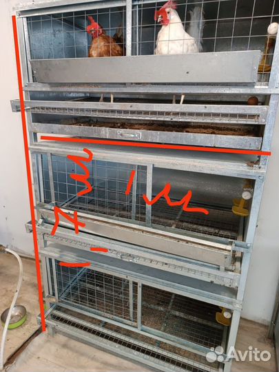 Клетки для кур несушек бройлеров
