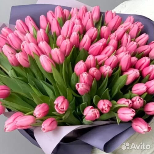 Тюльпаны розовые букет 25 штук к 8 марта в Москве