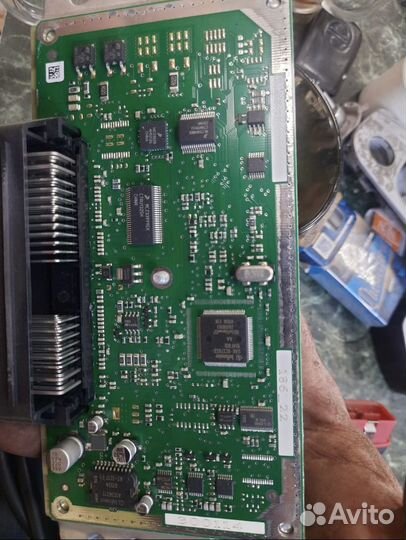 Эбу гранта 2190 мозги