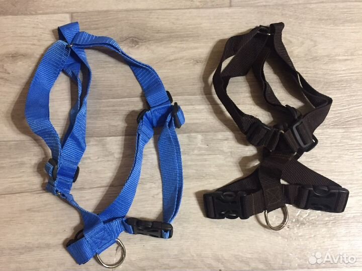 Шлейка и амуниция