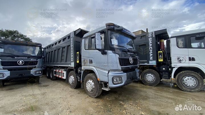 Shacman (Shaanxi) SX33186V366, 2024