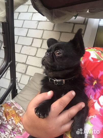 Настоящий таец