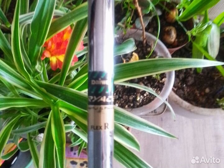 Клюшка Японияя