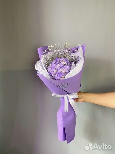 Гортензия в современной упаковке