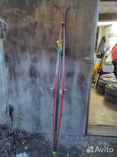 Беговые лыжи