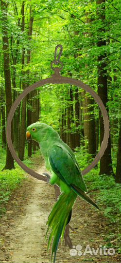 Игрушки для попугаев волнистых