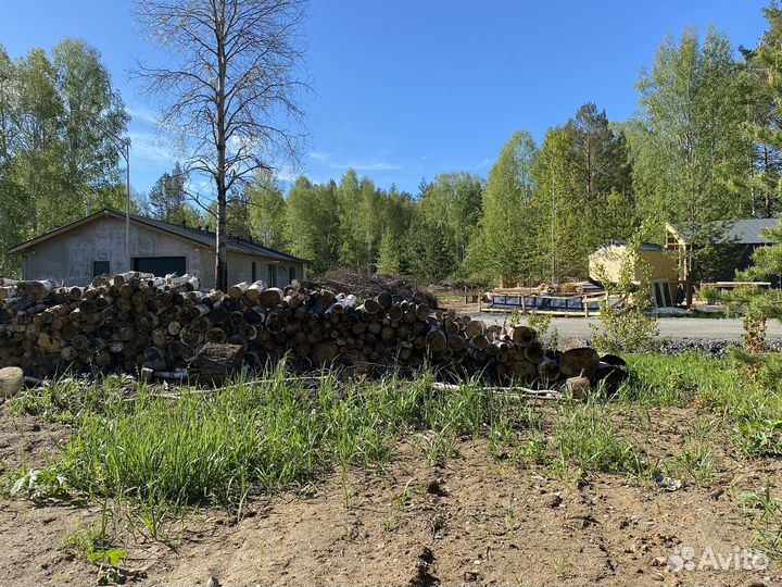 Дрова березовые