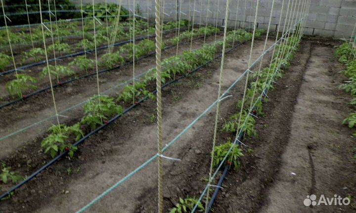 Опоры для растений стеклопластиковые