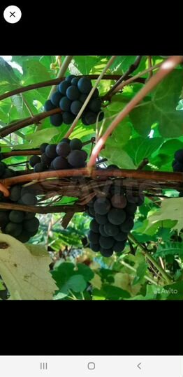 Дача 35 м² на участке 14 сот.