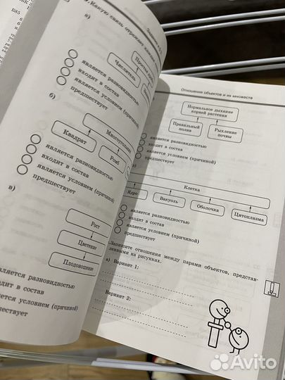 Рабочая тетрадь по информатике 6 кл (Босова)