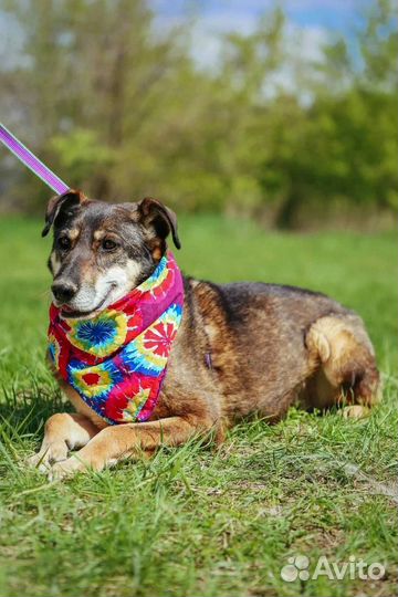 Она умрёт в приюте, так и не увидев другой жизни