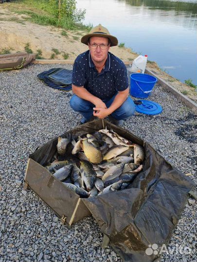 Платная рыбалка