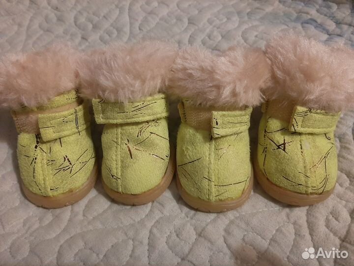 Ботинки для маленьких собак