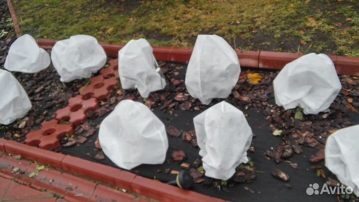 Чехлы для укрытия на зиму растений, цветов, кустов