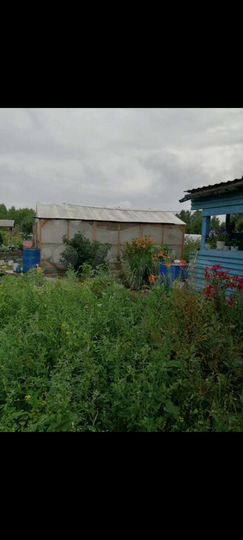 Участок 6,5 сот. (СНТ, ДНП)