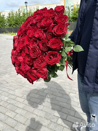 Роза красная 51 шт. Доставка Калининград