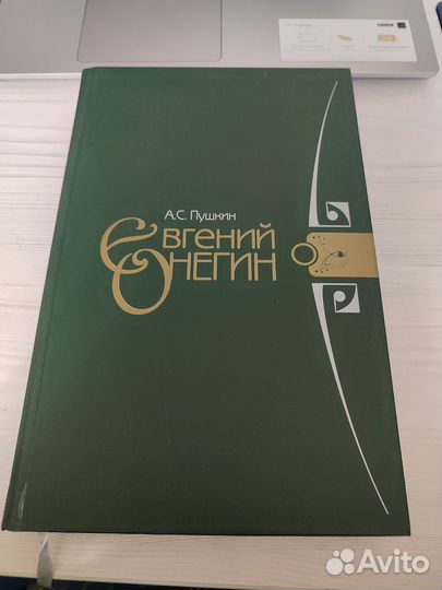 Подарочная книга Евгений Онегин