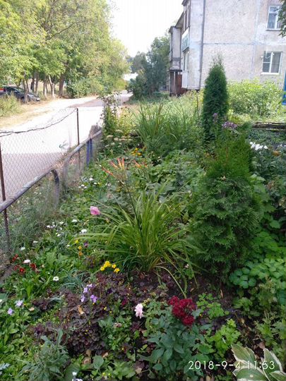 2-к. квартира, 53,3 м², 1/2 эт.