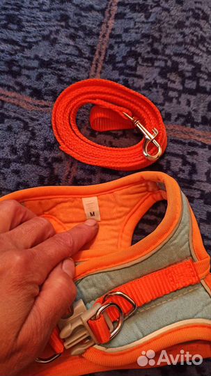 Шлейка для собак и кошек
