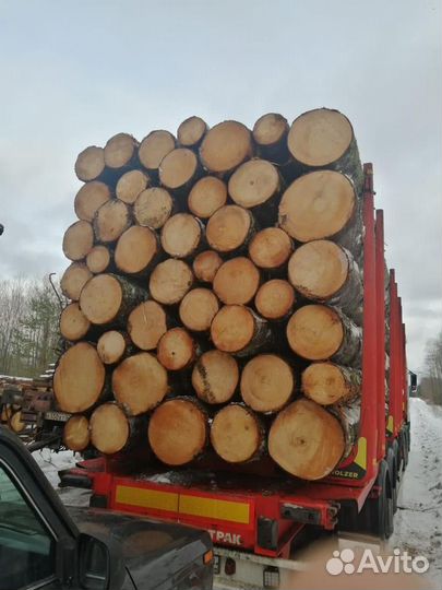 Лес кругляк