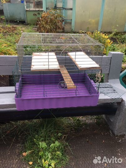 Клетка большая