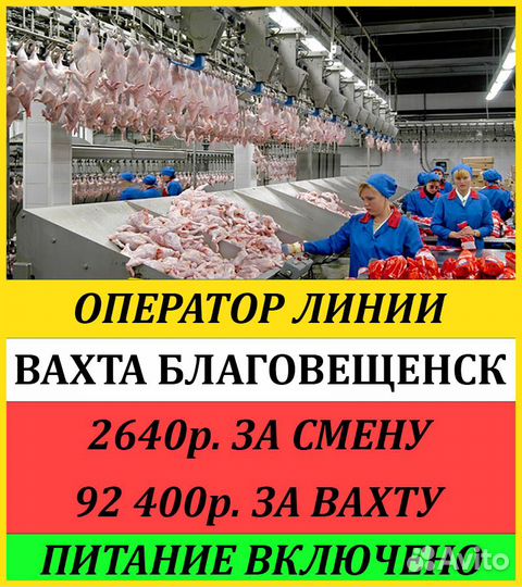 Вахта в Благовещенске/Оператор птицефабрики