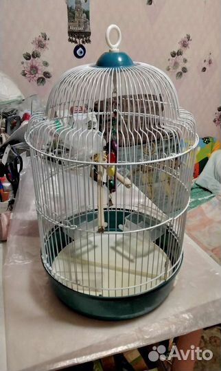 Клетка для попугая