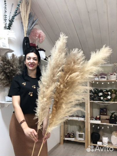 Пампасная трава