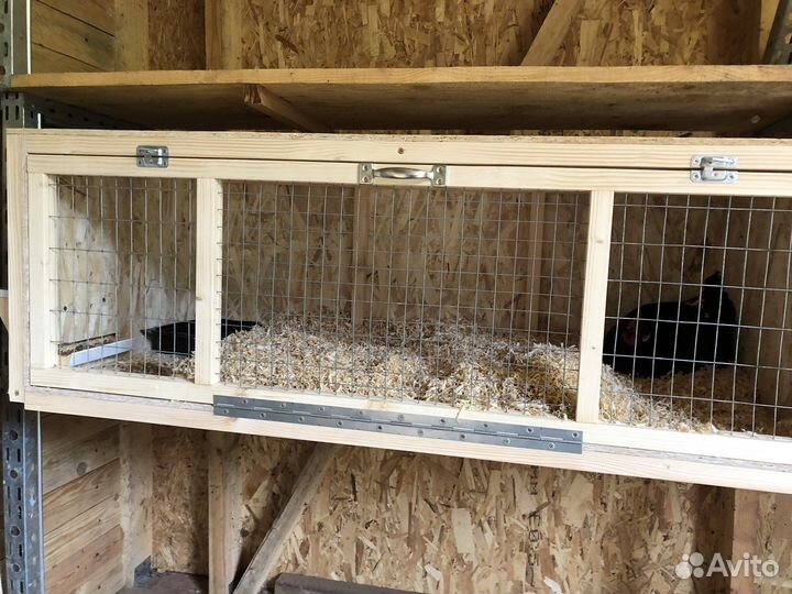 Клетки для птиц, кур, молодника, цыплят