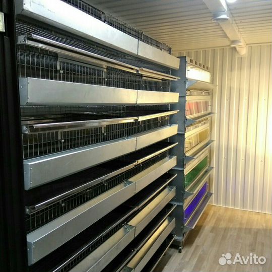 Перепелиные фермы под ключ, Фермы любой слож