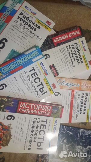 Рабочие тетради 6 класс