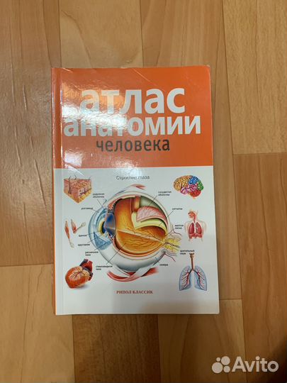Атлас анатомии человека
