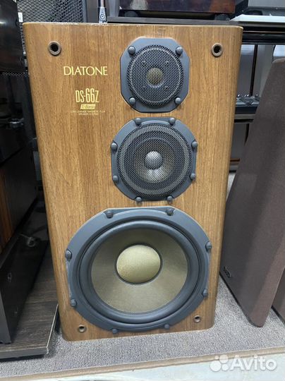 Акустика колонки diatone ds 66 z
