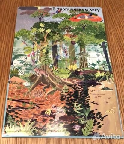 Животные снаружи и внутри. Над землей и под землей