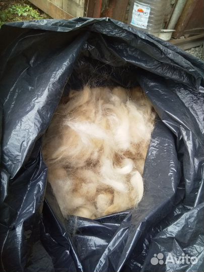 Собачья шерсть 2 килограмма