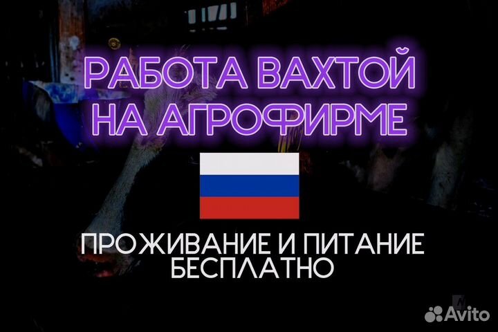 Тракторист механизатор на агрофирму с проживанием