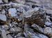 Каменный уголь марки антрацит в мешках